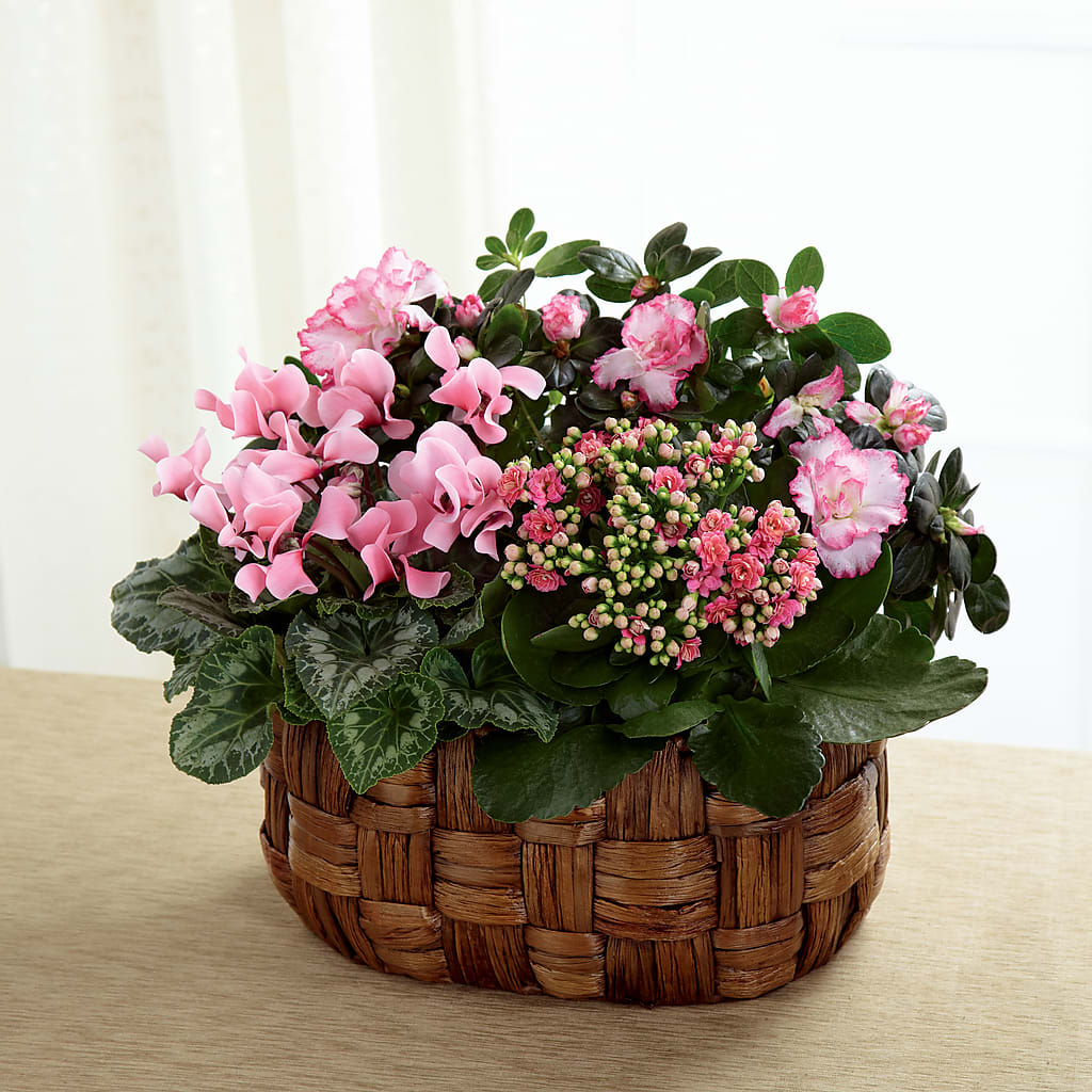 Pink Assortment – ROWLEE'S BUDS, Los Osos CA