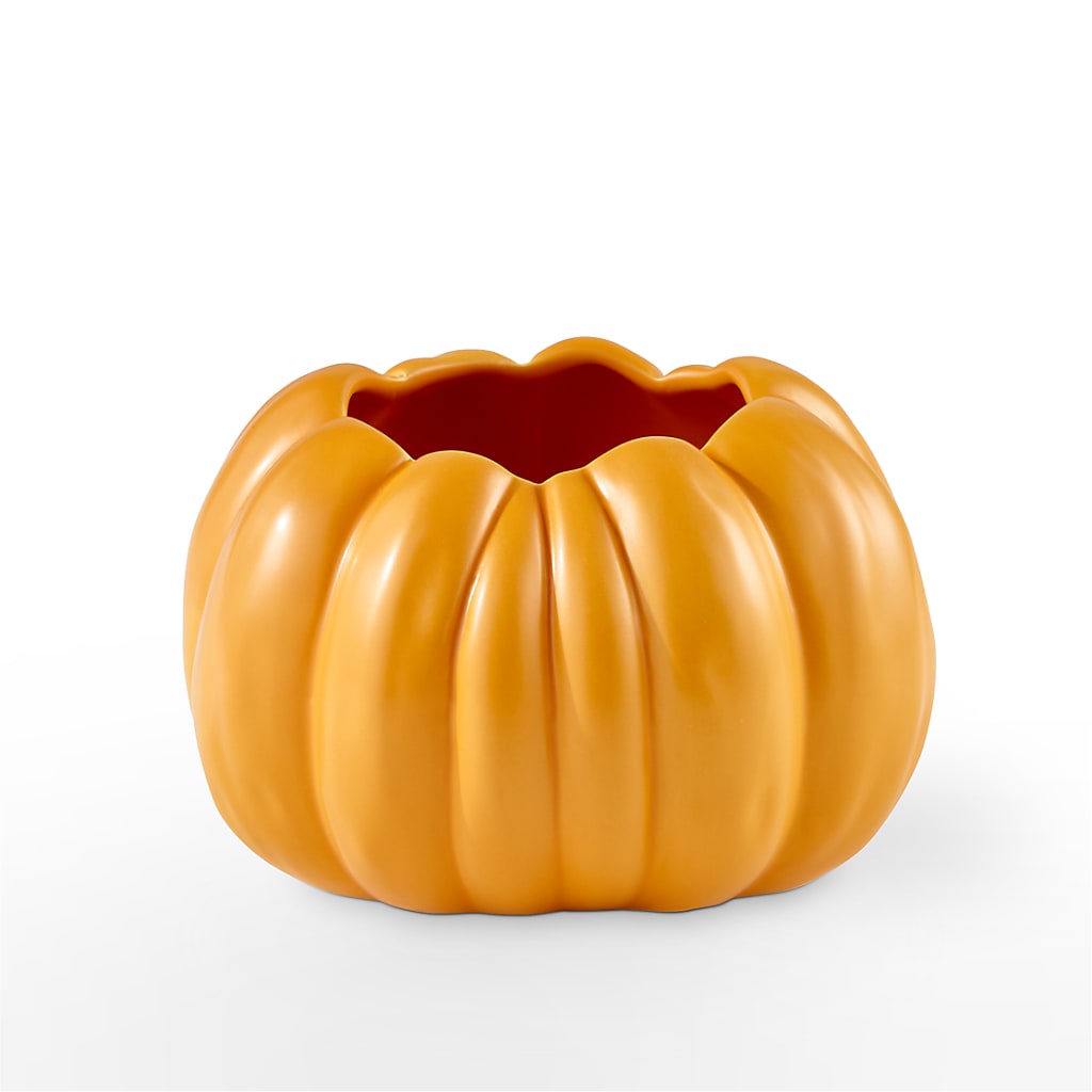 Pick of the Patch Pumpkin Bouquet – ROWLEE'S BUDS, Los Osos CA