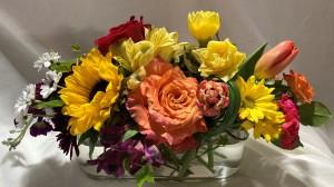 RBB1008 – ROWLEE'S BUDS, Los Osos CA