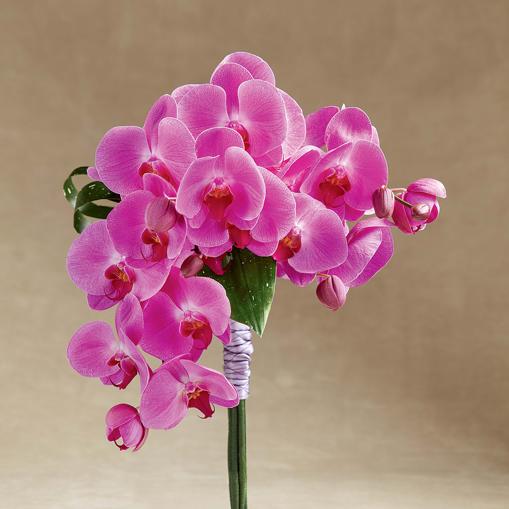 Glorious Bouquet – ROWLEE'S BUDS, Los Osos CA