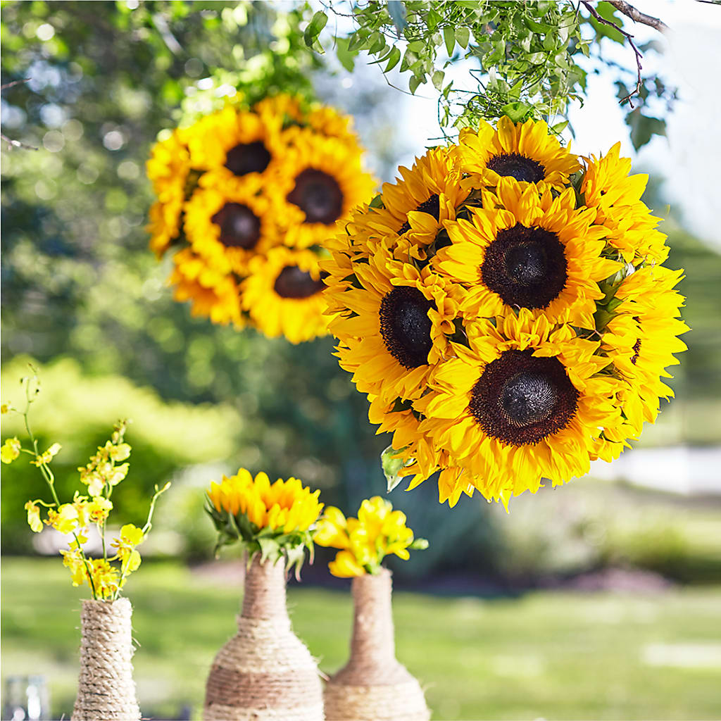 Sublime Garden Hanging Arrangement – ROWLEE'S BUDS, Los Osos CA
