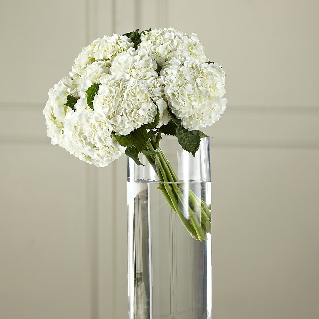 White Hydrangea Hand-Tied Bouquet – ROWLEE'S BUDS, Los Osos CA