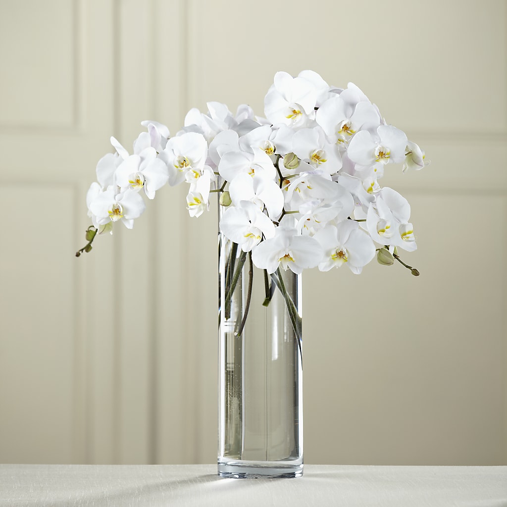 White Phalaenopsis Bouquet – ROWLEE'S BUDS, Los Osos CA