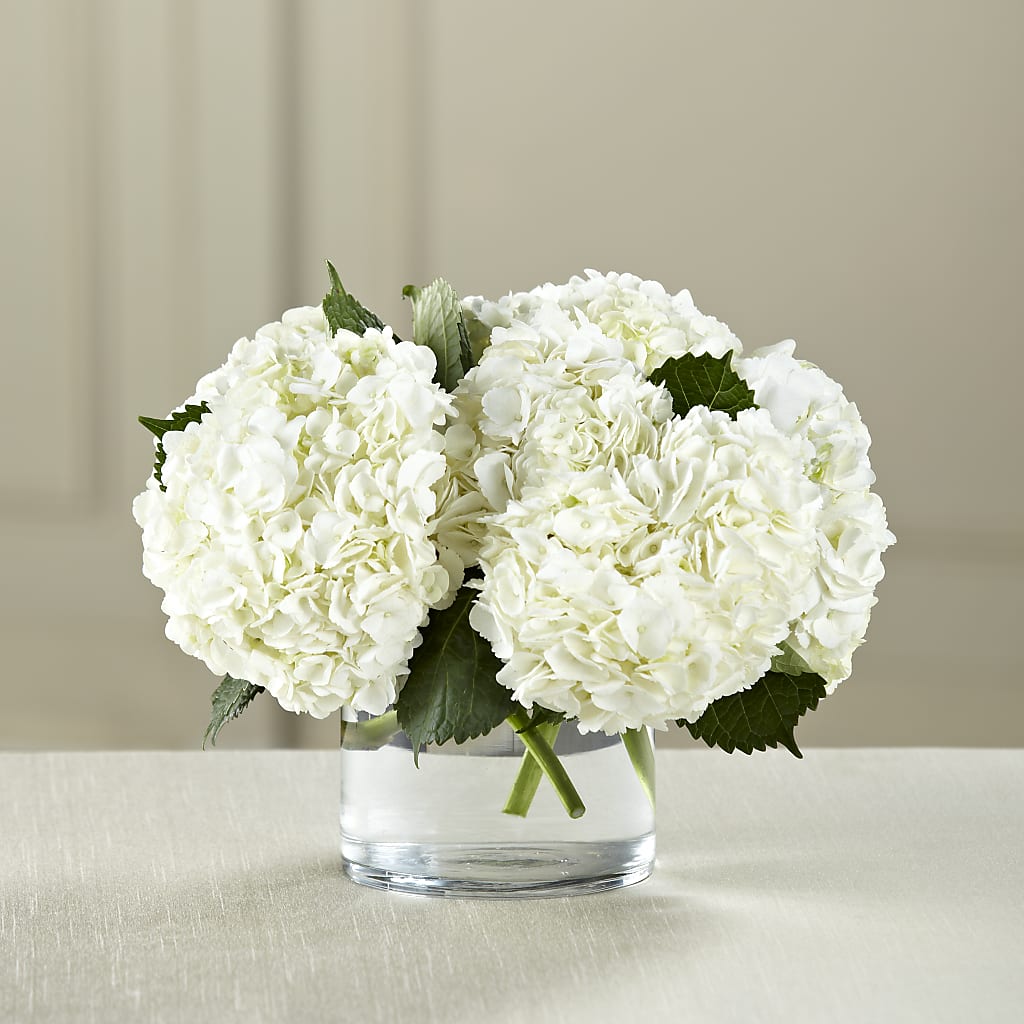 White Hydrangea Bouquet – ROWLEE'S BUDS, Los Osos CA