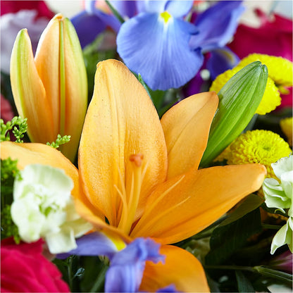 Bold & Bright – A Florist Original – ROWLEE'S BUDS, Los Osos CA