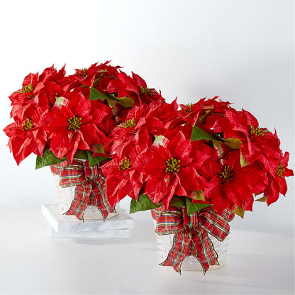 Happiest Holidays Poinsettia Bundle – ROWLEE'S BUDS, Los Osos CA