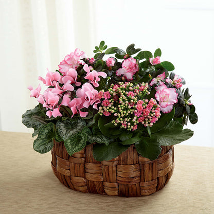 Pink Assortment – ROWLEE'S BUDS, Los Osos CA