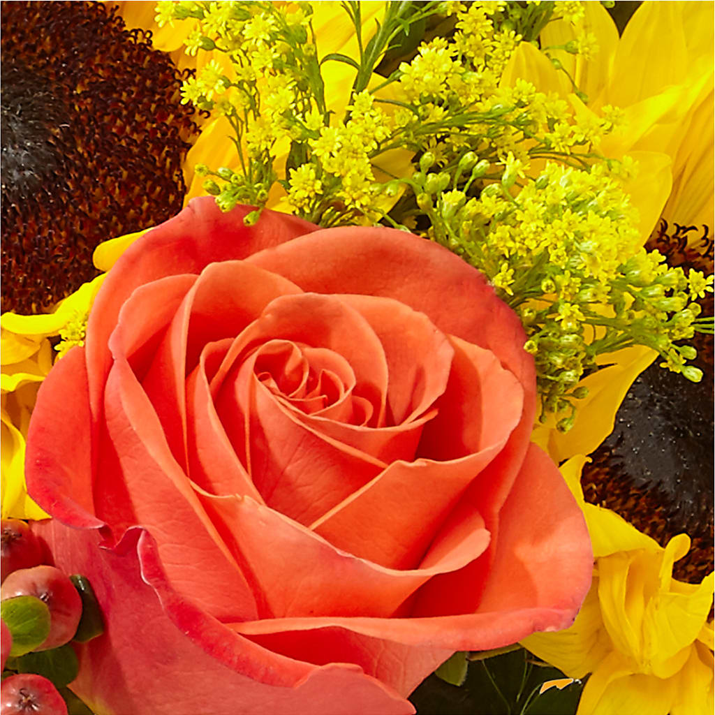 Pick of the Patch Pumpkin Bouquet – ROWLEE'S BUDS, Los Osos CA