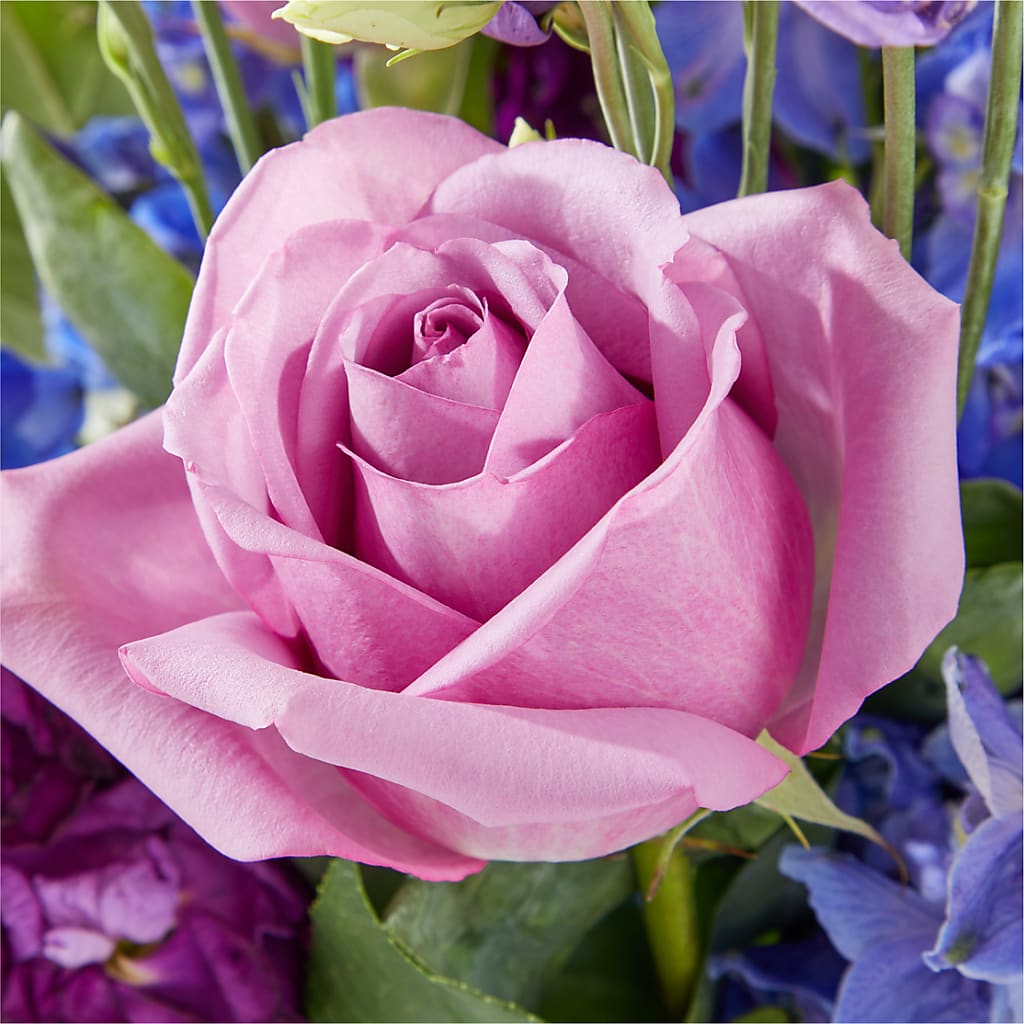 Twilight Glow Bouquet – ROWLEE'S BUDS, Los Osos CA