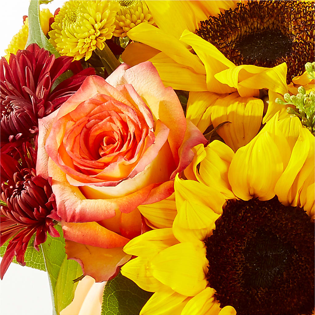 Golden Gourd Pumpkin Bouquet – ROWLEE'S BUDS, Los Osos CA
