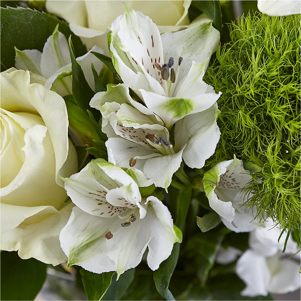 Classic Ivory – A Florist Original – ROWLEE'S BUDS, Los Osos CA