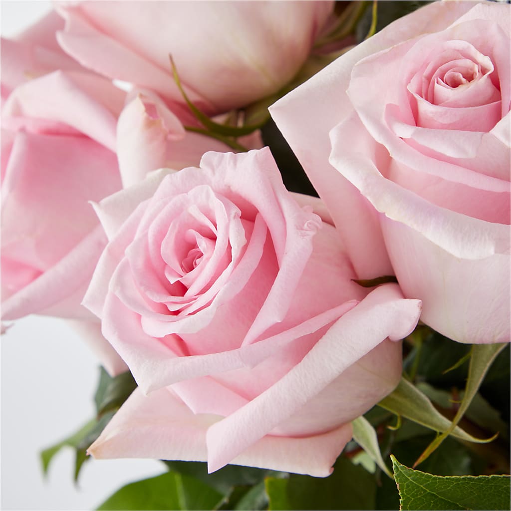 Picture Perfect Pink Rose Bouquet – ROWLEE'S BUDS, Los Osos CA