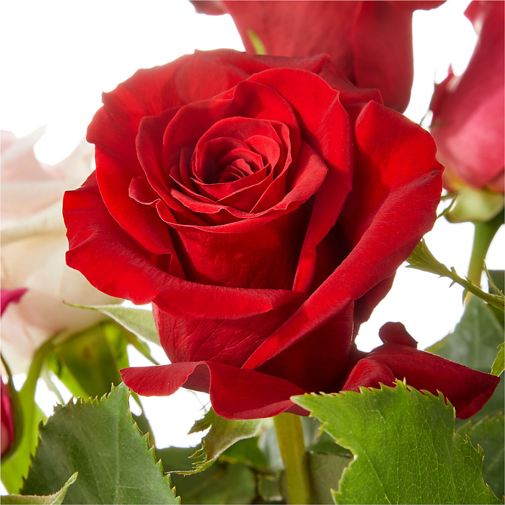 Love Notes Rose Bouquet – ROWLEE'S BUDS, Los Osos CA