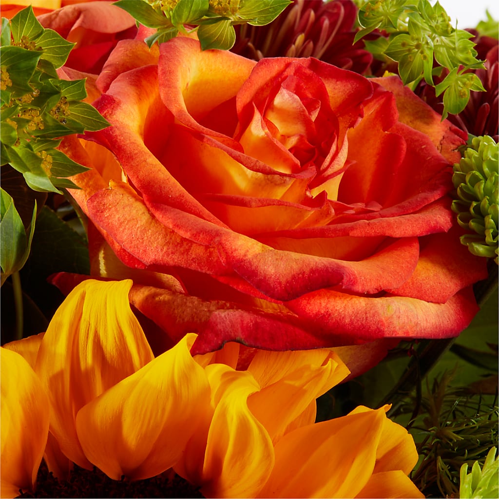 Harvest Festival Bouquet – ROWLEE'S BUDS, Los Osos CA