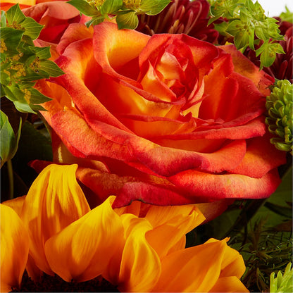 Harvest Festival Bouquet – ROWLEE'S BUDS, Los Osos CA