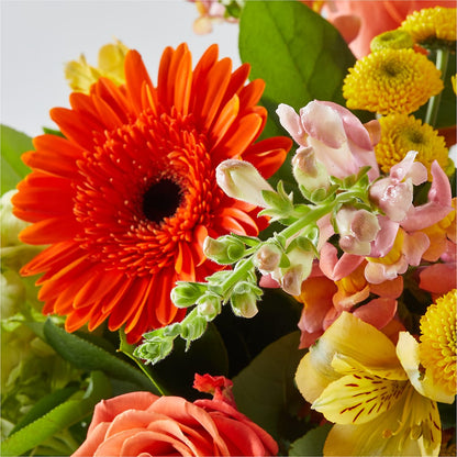 Autumn Sunshine Bouquet – ROWLEE'S BUDS, Los Osos CA