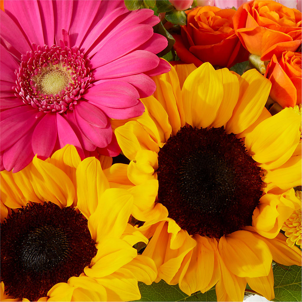 Beach Day Bouquet – ROWLEE'S BUDS, Los Osos CA