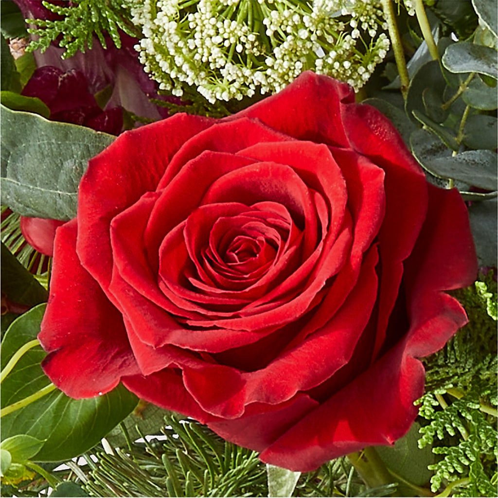 Cranberry Fizz Bouquet – ROWLEE'S BUDS, Los Osos CA