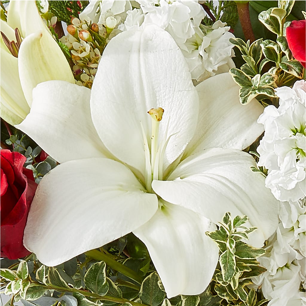 Twinkle Lights Bouquet – ROWLEE'S BUDS, Los Osos CA