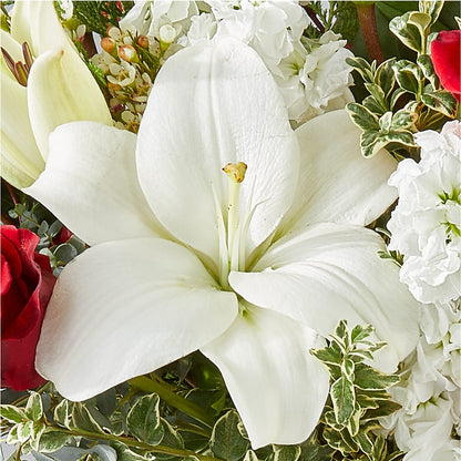 Twinkle Lights Bouquet – ROWLEE'S BUDS, Los Osos CA