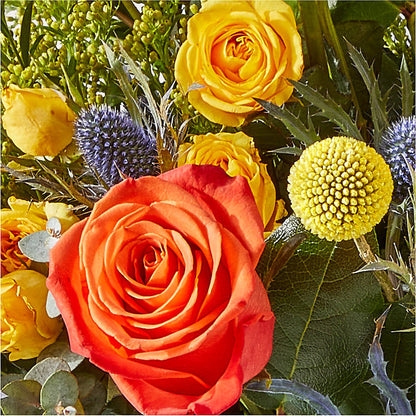 Disco Bouquet – ROWLEE'S BUDS, Los Osos CA