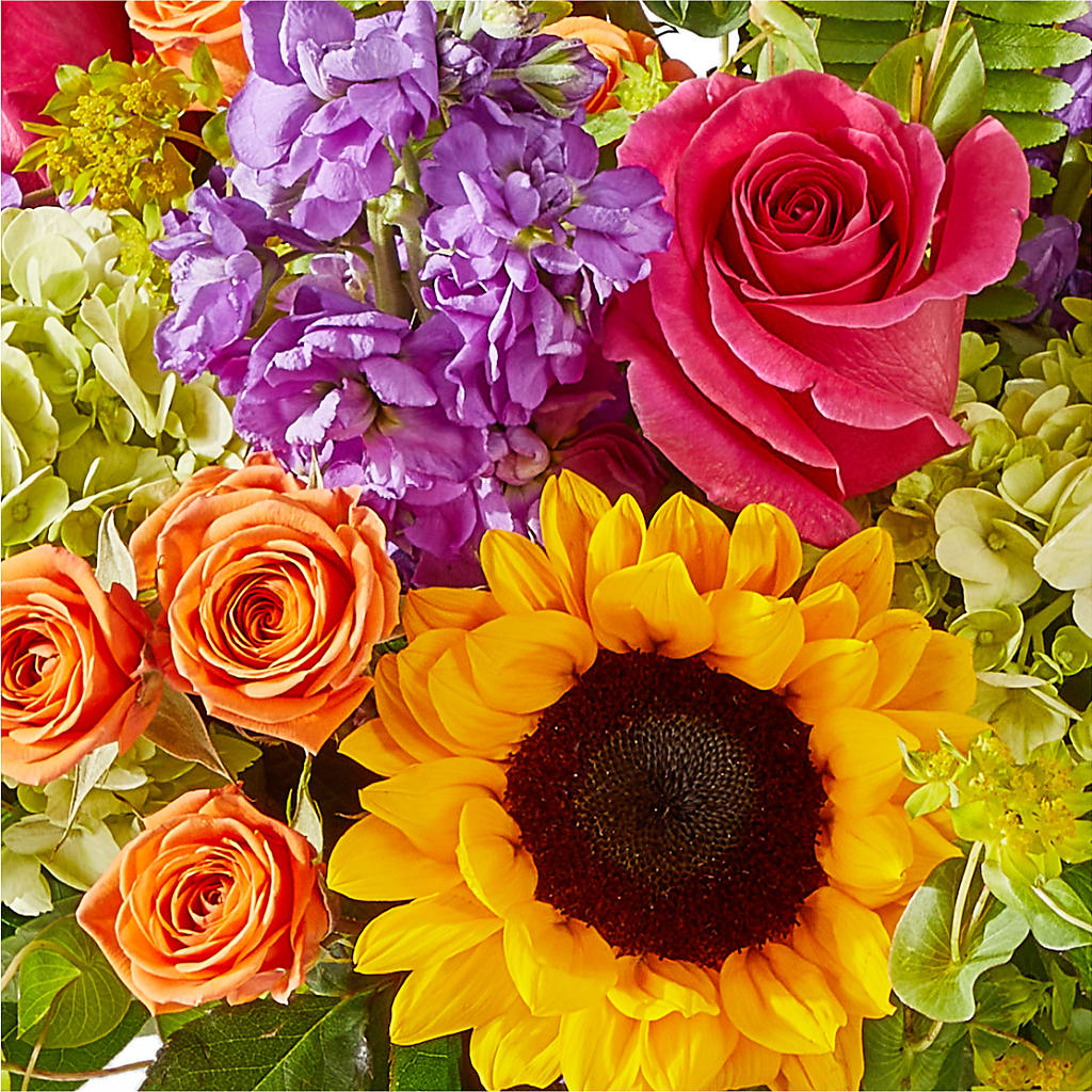 Vibrant Greetings Bouquet – ROWLEE'S BUDS, Los Osos CA