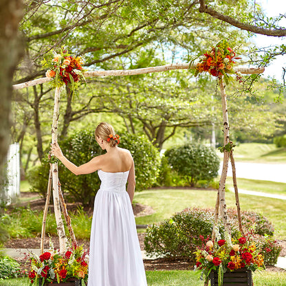 Arbor of Love Archway – ROWLEE'S BUDS, Los Osos CA