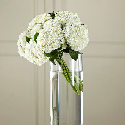 White Hydrangea Hand-Tied Bouquet – ROWLEE'S BUDS, Los Osos CA