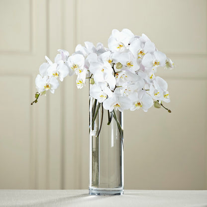 White Phalaenopsis Bouquet – ROWLEE'S BUDS, Los Osos CA
