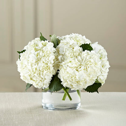 White Hydrangea Bouquet – ROWLEE'S BUDS, Los Osos CA